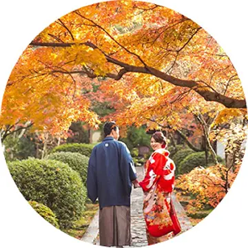 Autumn Foliage shooting